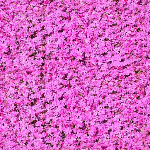 4096 x 4096 seamless pot tileable pattern flower pink Pink flowers free texture
