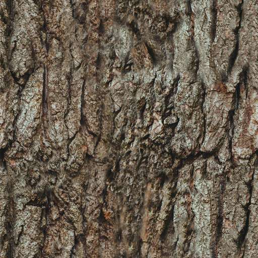 1024 x 1024 seamless pot wood tileable tree branch pattern Tree branch free texture