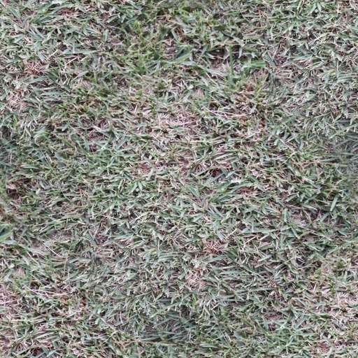 4096 x 4096 seamless pot grass ground tileable pattern Wild grass free texture