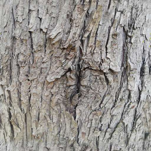 4096 x 4096 seamless pot tileable tree branch bark pattern Tree bark branch free texture