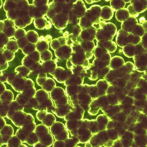 4096 x 4096 seamless pot tileable pattern green algae bacteria microbes biology science Microbes algae free texture