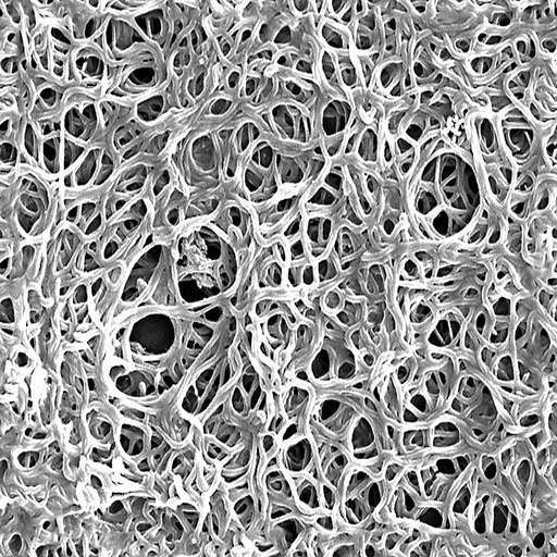 1024 x 1024 seamless pot tileable pattern algae bacteria microbes biology science tangle Microbes tangle free texture