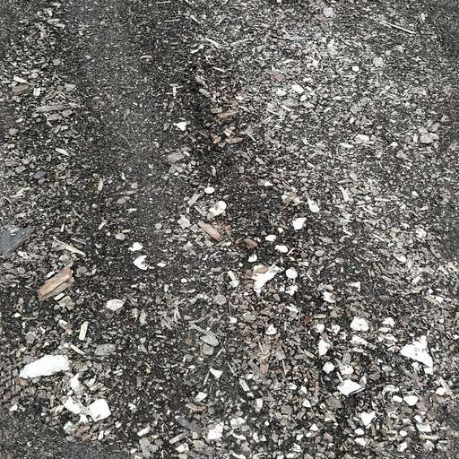 4096 x 4096 seamless pot ground tileable pattern soil debris Ground soil debris free texture