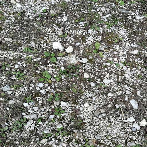 4096 x 4096 seamless pot grass ground rocks tileable forest pattern soil stones Forest ground with stones and grass free texture