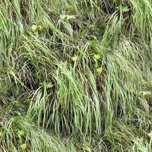 4096 x 4096 seamless pot grass tileable pattern green vegetation bush wild Long wild grass free texture