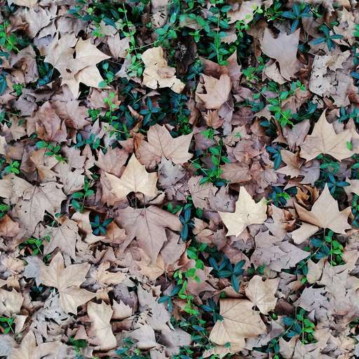 4096 x 4096 seamless pot ground tileable leaves forest pattern plants Forest ground leaves free texture