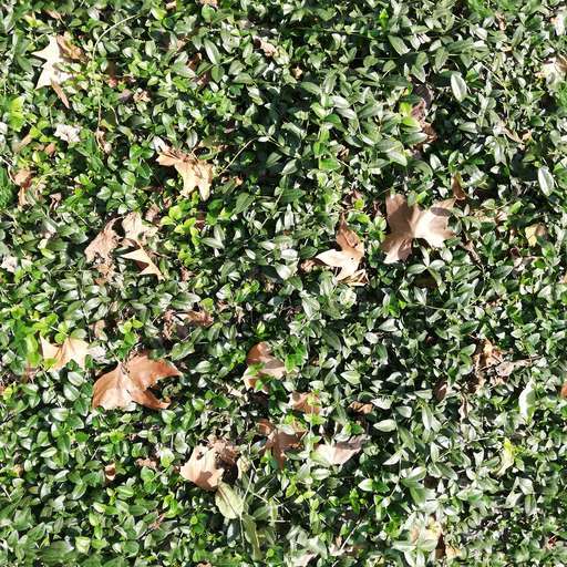 4096 x 4096 seamless pot tileable leaves pattern green nature plant Green plant leaves free texture