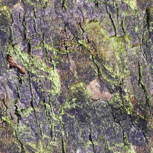 4096 x 4096 seamless pot tileable tree dark bark pattern nature mold Mold dark bark tree free texture