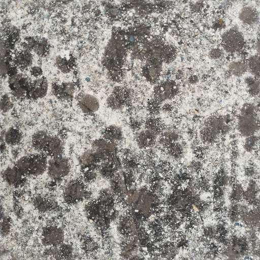 4096 x 4096 seamless pot ground wall stone concrete rock dirty lichens tileable pattern Dirty stone rock concrete lichens free texture