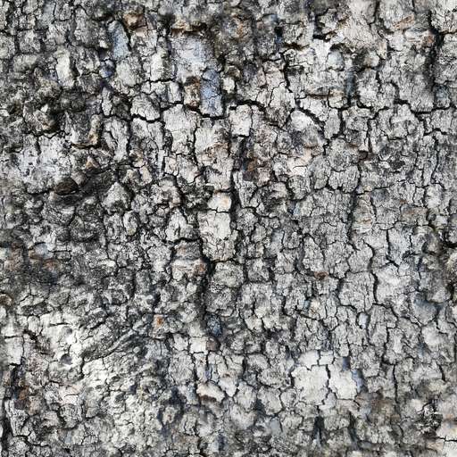 Cracked tree bark is a royalty free texture in the category: seamless pot tileable tree bark broken pattern rough cracked