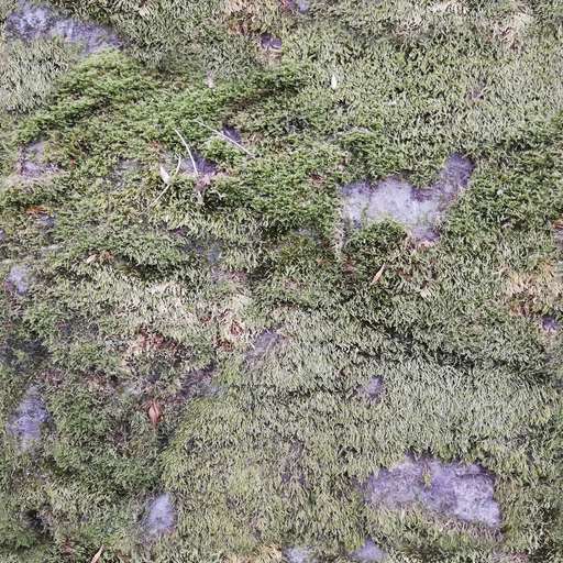 4096 x 4096 seamless pot tileable stone rock pattern green nature moss musk Stone rock moss musk free texture