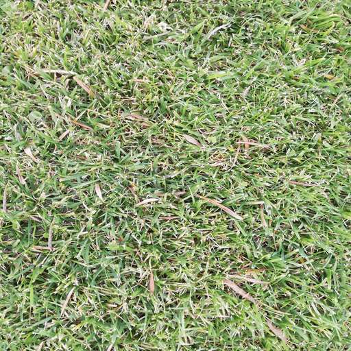 4096 x 4096 seamless pot grass tileable thick pattern Thick grass free texture