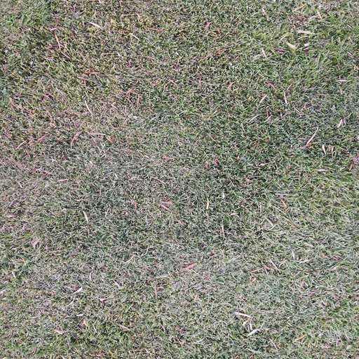 4096 x 4096 seamless pot grass tileable pattern green Deep grass free texture