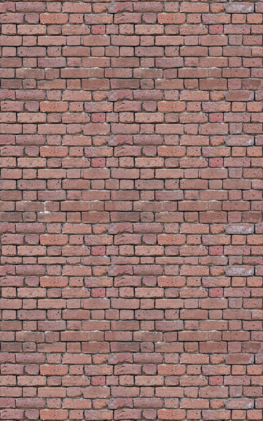 Download Red brick wall - Download Royalty Free Texture